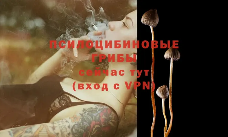 купить наркотик  сайты даркнета какой сайт  Галлюциногенные грибы Magic Shrooms  Саратов 